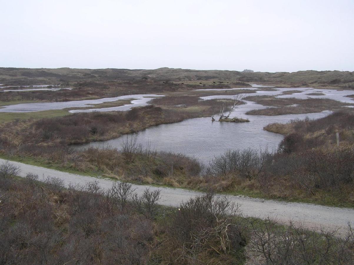 Chalet Playa Direct Aan Zee In 艾默伊登 外观 照片