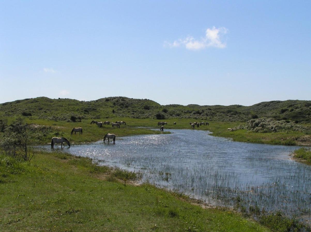 Chalet Playa Direct Aan Zee In 艾默伊登 外观 照片